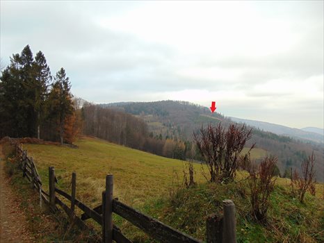 Działka budowlana na sprzedaż Brenna, ul. Ogrodowa 25 300m2 Foto 5