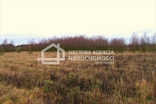 Działka leśna na sprzedaż Strzeczona 206 330m2 Foto 11