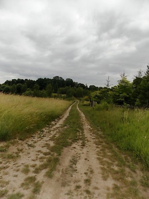 Działka rekreacyjna na sprzedaż Żywy 4 393m2 Foto 7