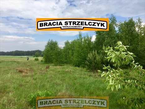 Działka rolna na sprzedaż Wysychy 5 262m2 Foto 4