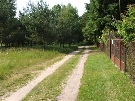 Działka rekreacyjna na sprzedaż Puste Łąki 1 000m2 Foto 2