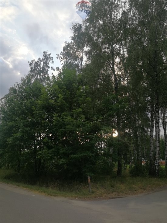 Działka budowlana na sprzedaż Dąbrówka-Strumiany 1 972m2 Foto 9