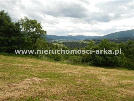 Działka budowlana na sprzedaż Dobra 6 100m2 Foto 3