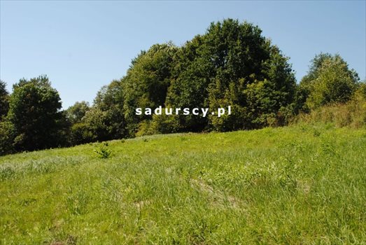 Działka budowlana na sprzedaż Mogilany, Leszczynowa 1 000m2 Foto 4