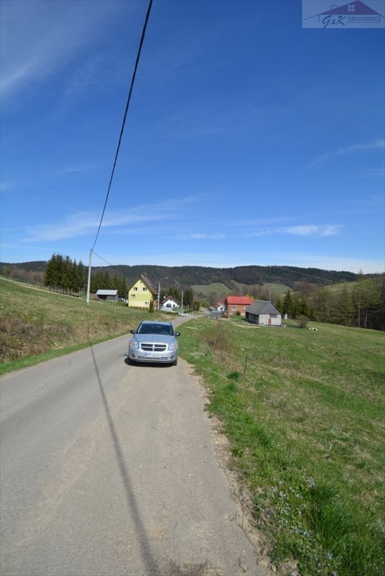 Działka rekreacyjna na sprzedaż Hołuczków 800m2 Foto 5