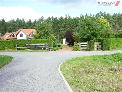 Działka budowlana na sprzedaż Wołczkowo 3 000m2 Foto 3