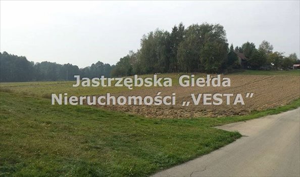Działka inna na sprzedaż Jastrzębie-Zdrój, Bzie Zameckie 1 200m2 Foto 5