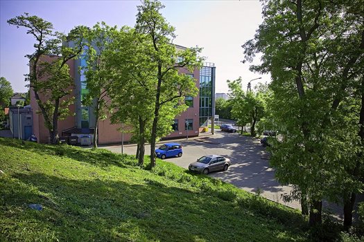Lokal użytkowy na wynajem Opole, Luboszycka 36 67m2 Foto 3