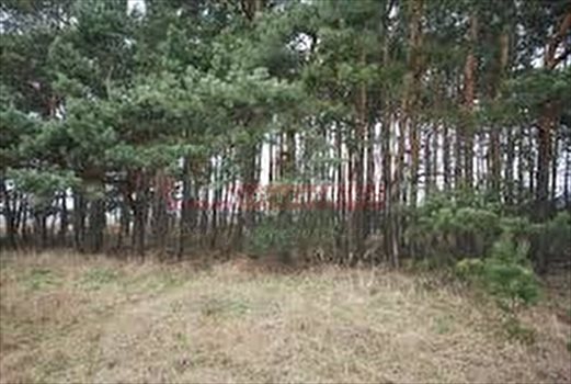 Działka inna na sprzedaż Kotórz Wielki 1 030m2 Foto 8