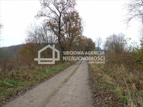 Działka rolna na sprzedaż Trzepowo 40 200m2 Foto 6