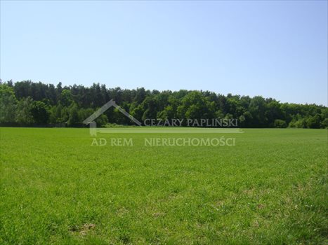 Działka budowlana na sprzedaż Majdan Mętowski, Majdan Mętowski 900m2 Foto 4