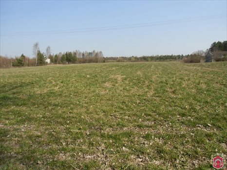 Działka komercyjna na sprzedaż Gdynia, Wiczlino, Wiczlińska 6 780m2 Foto 3