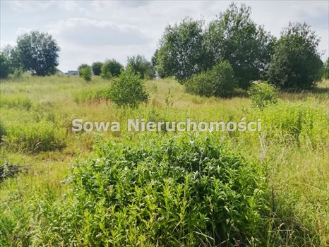 Działka budowlana na sprzedaż Wałbrzych, Poniatów 1 653m2 Foto 5