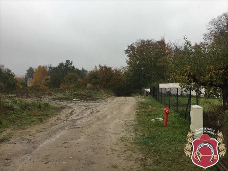 Działka budowlana na sprzedaż Łapino, Łapino Kartuskie, okolice Brzozowa 1 000m2 Foto 4