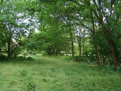 Działka budowlana na sprzedaż Puszczykowo, Puszczykowo 1 211m2 Foto 2