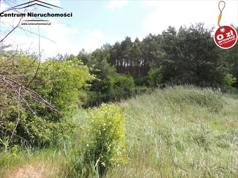 Działka siedliskowa na sprzedaż Krzyż 24 900m2 Foto 9