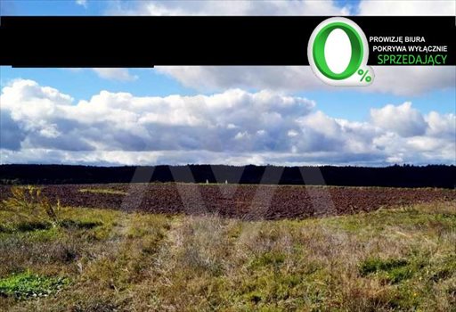 Działka budowlana na sprzedaż Luzino, Jagodowa 1 033m2 Foto 1