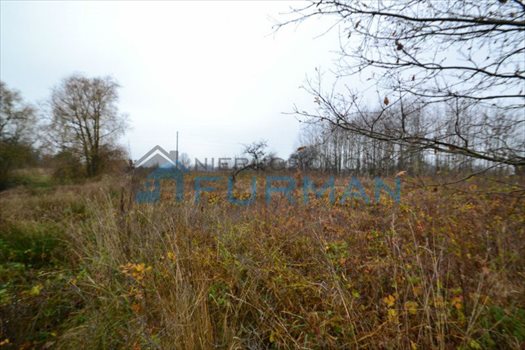 Działka budowlana na sprzedaż Pieczyska 5 700m2 Foto 5