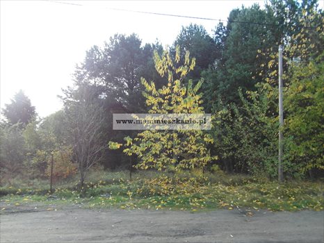 Działka budowlana na sprzedaż Bydgoszcz, Smukała Górna 1 101m2 Foto 2