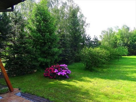 Dom na sprzedaż Międzyborów 80m2 Foto 7