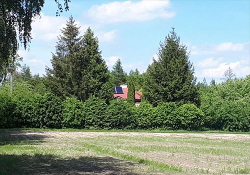 Dom na sprzedaż Romanów 120m2 Foto 5