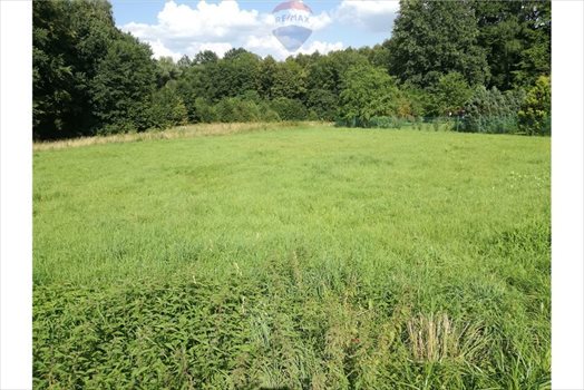 Działka budowlana na sprzedaż Bielsko-Biała 1 137m2 Foto 4