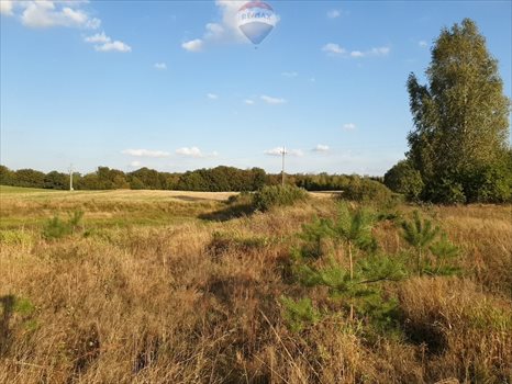 Działka siedliskowa na sprzedaż Sobącz 48 970m2 Foto 12