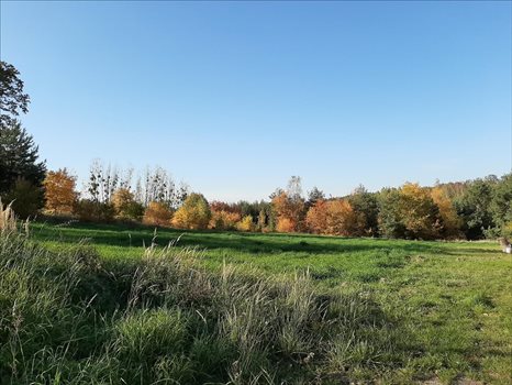Działka inna na sprzedaż Bagno, Oborniki Śląskie 6 119m2 Foto 1
