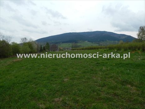 Działka budowlana na sprzedaż Jurków 1 600m2 Foto 1