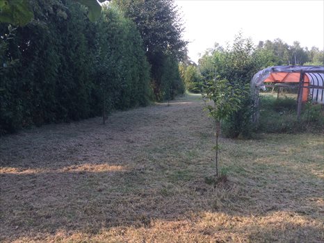 Działka budowlana na sprzedaż Blachownia, Malice, Malicka 1 803m2 Foto 9