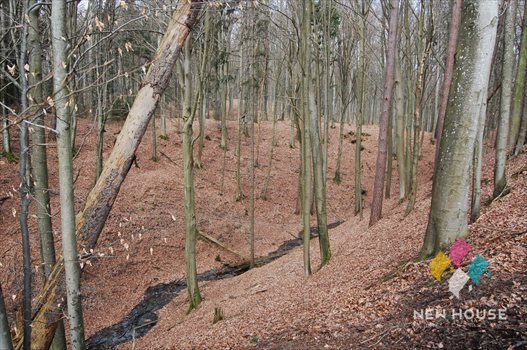 Działka inna na sprzedaż Cerkiewnik 3 024m2 Foto 5