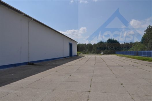 Lokal użytkowy na sprzedaż Nowy Konik 2 300m2 Foto 3