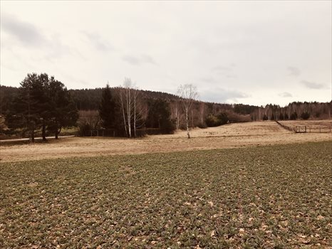 Działka budowlana na sprzedaż Sulistrowice, Nowa 1 050m2 Foto 10