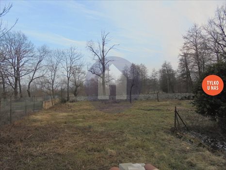 Dom na sprzedaż Goczałków 120m2 Foto 5