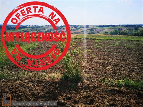 Działka budowlana na sprzedaż Górna Wieś 1 204m2 Foto 3