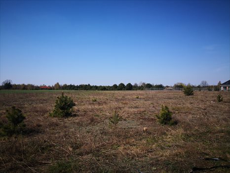 Działka budowlana na sprzedaż Korfowe, Korfowe 2 672m2 Foto 4