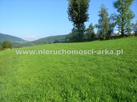 Działka budowlana na sprzedaż Dobra 700m2 Foto 3