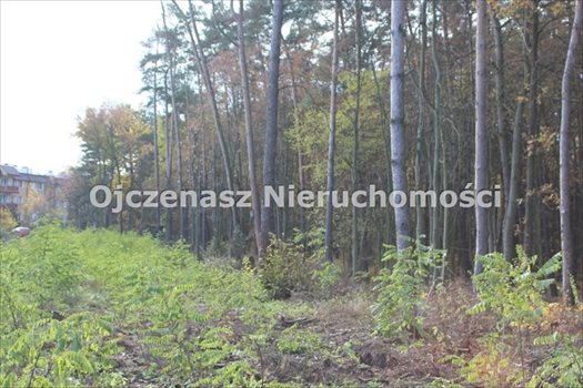 Dom na sprzedaż Bydgoszcz, Osowa Góra 220m2 Foto 3