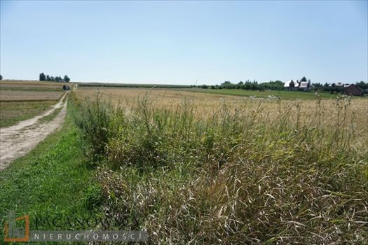 Działka budowlana na sprzedaż Cianowice Duże 14 384m2 Foto 3