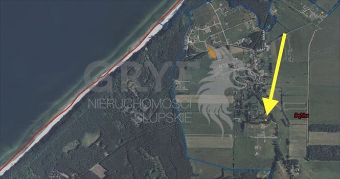 Działka inna na sprzedaż Dębina 2 500m2 Foto 10