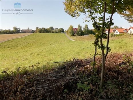 Działka budowlana na sprzedaż Narama 1 400m2 Foto 3