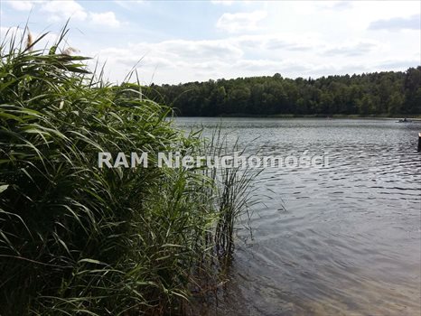 Dom na sprzedaż Tarnów Jezierny 125m2 Foto 2