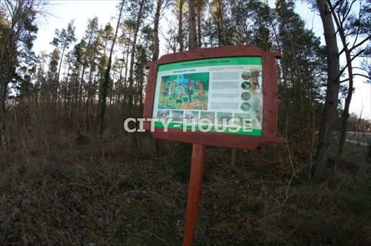 Działka inna na sprzedaż Szczenurze 1 400m2 Foto 7