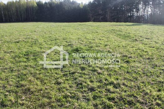 Działka budowlana na sprzedaż Lubowidz 1 760m2 Foto 12
