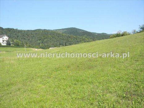 Działka budowlana na sprzedaż Kłodne 1 800m2 Foto 2