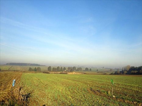 Działka inna na sprzedaż Golęczewo, Suchy Las 16 695m2 Foto 6