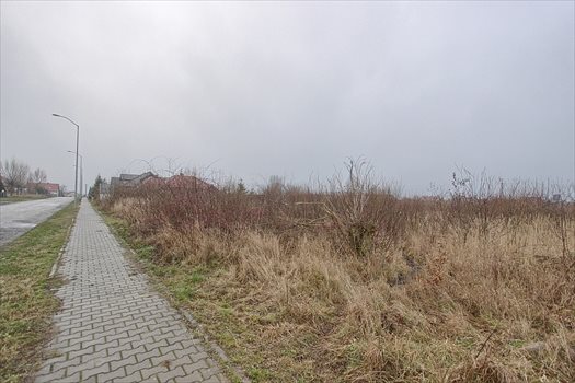 Działka budowlana na sprzedaż Dołuje 1 000m2 Foto 2