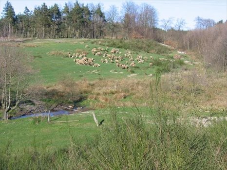 Działka inna na sprzedaż Łeba - Szczenurze, Jezioro Sarbsko, Szczenurze - 5 Km Od Łeby 1 783m2 Foto 2