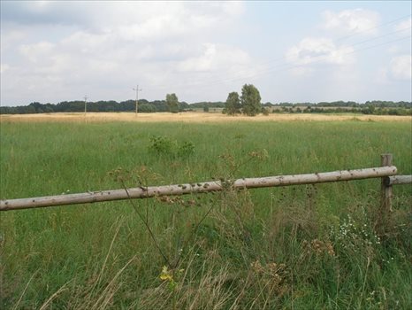Działka budowlana na sprzedaż Ińsko 73 700m2 Foto 9