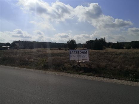 Działka budowlana na sprzedaż Biała, Szczawińska 4 500m2 Foto 5